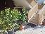 Appartamento 80 mq, soggiorno, 2 camere