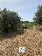 Terreno 41773 mq, zona Palombara Sabina