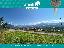 Terreno 680 mq, zona Mechel