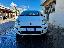 FIAT Punto 1.3 MJT II 75 CV 5p. Young