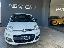 FIAT Panda 1.3 MJT 95 CV S&S Easy