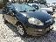 FIAT Punto Evo 1.3 Mjt 95 CV 5p. S&S Emotion