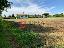 Terreno 230 mq, zona Biancade