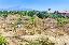 Terreno 6730 mq