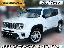 JEEP Renegade 1.6 Mjt 130CV Limited FULL LED