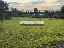Terreno 8000 mq