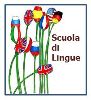 Corsi di inglese collettivi a domegliara