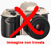 zoom immagine (FIAT Tipo 1.0 5 porte)